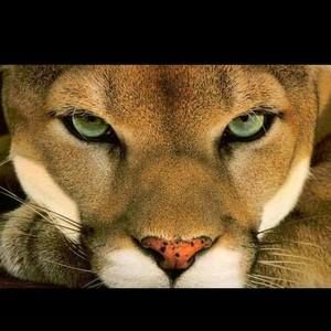 Meet your Posher, Wendy